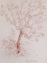 D McIntosh - 1980 Cherry Tree.jpg